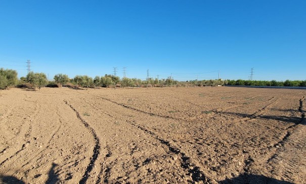 Videresalg - Finca landejendom -
San Miguel de Salinas
