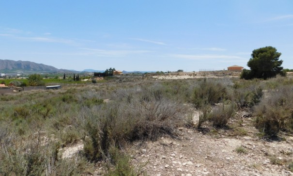 Revente - Parcelle Terrain -
Fortuna - FORTUNA (MURCIA)