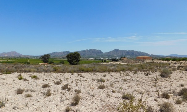 Revente - Parcelle Terrain -
Fortuna - FORTUNA (MURCIA)