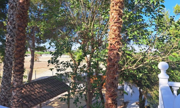 Återförsäljning - Fristående villa -
Orihuela