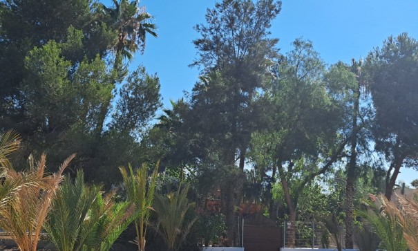 Återförsäljning - Fristående villa -
Orihuela