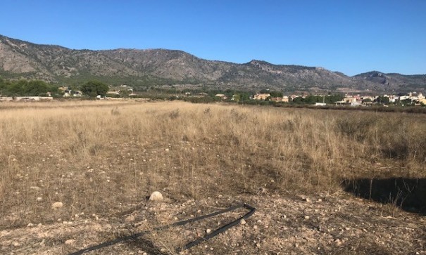 Venta - Parcela Terreno -
Salinas