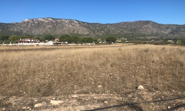 Venta - Parcela Terreno -
Salinas