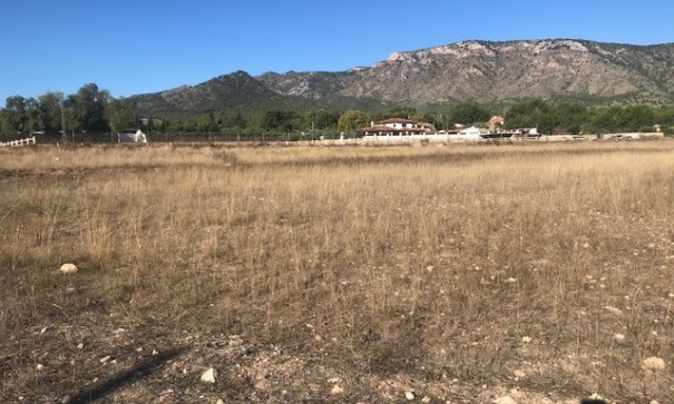 Venta - Parcela Terreno -
Salinas