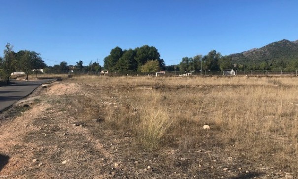 Venta - Parcela Terreno -
Salinas