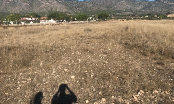 Venta - Parcela Terreno -
Salinas