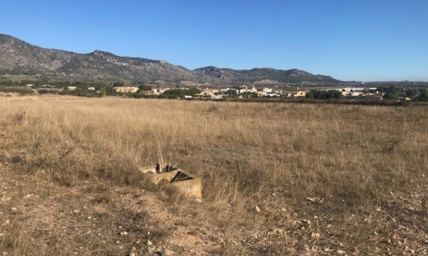 Venta - Parcela Terreno -
Salinas