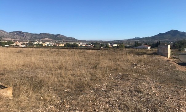 Venta - Parcela Terreno -
Salinas