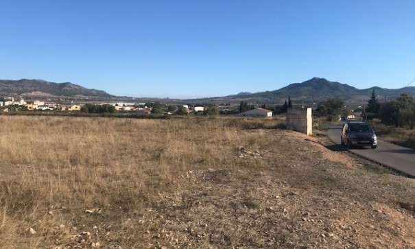 Venta - Parcela Terreno -
Salinas