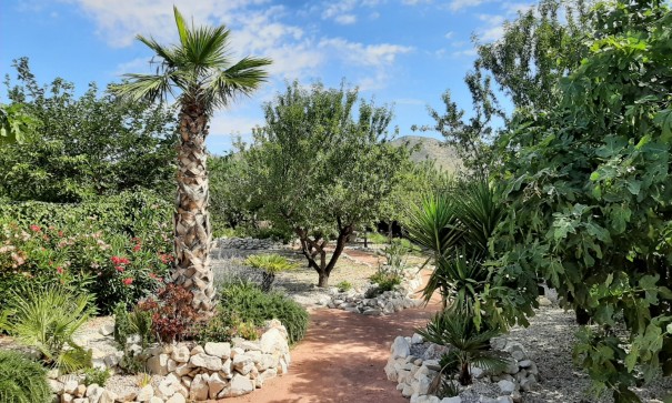 Venta - Finca Propiedad rural -
Barbarroja