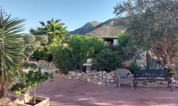 Venta - Finca Propiedad rural -
Barbarroja