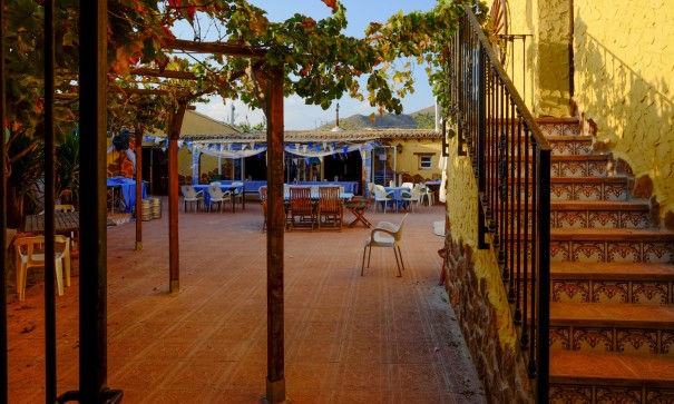 Venta - Finca Propiedad rural -
Barbarroja