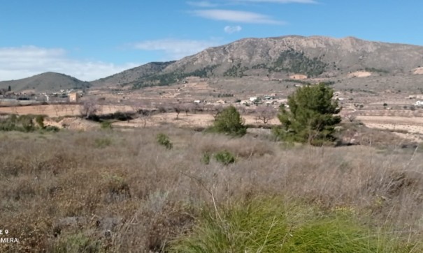 Återförsäljning - Vomt Mark -
La Romana