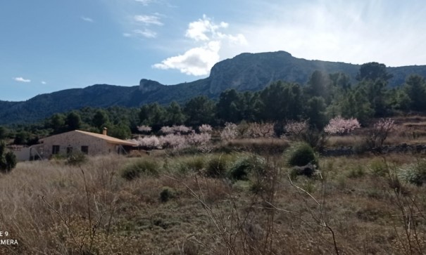 Återförsäljning - Vomt Mark -
La Romana