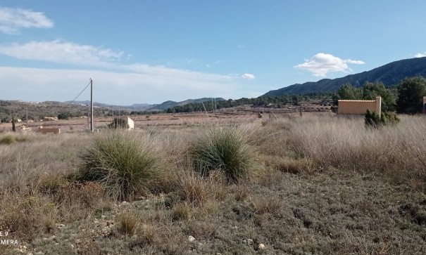 Återförsäljning - Vomt Mark -
La Romana