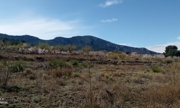 Återförsäljning - Vomt Mark -
La Romana