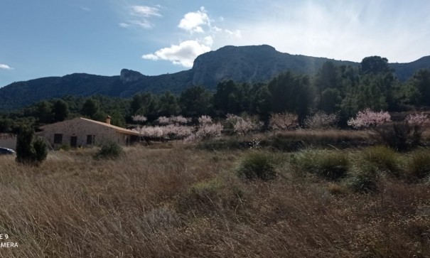 Återförsäljning - Vomt Mark -
La Romana