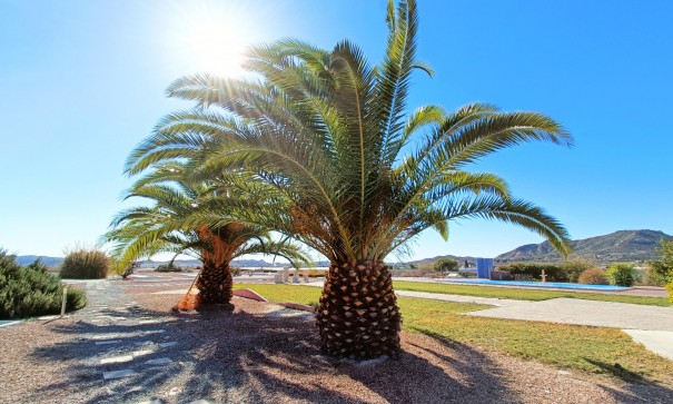 Sale - Detached Villa -
Novelda