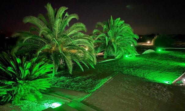 Sale - Detached Villa -
Novelda