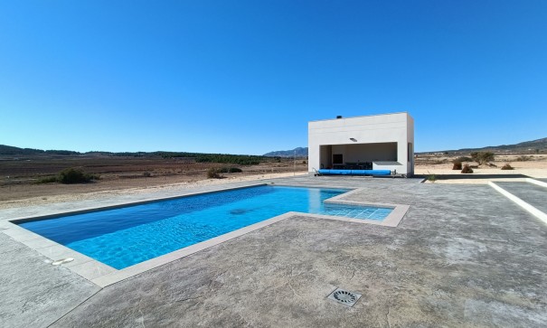 Obra Nueva - Chalet Independiente -
Pinoso