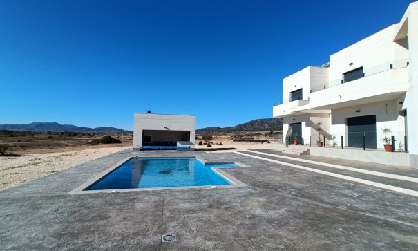 Obra Nueva - Chalet Independiente -
Pinoso