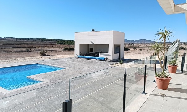 Obra Nueva - Chalet Independiente -
Pinoso