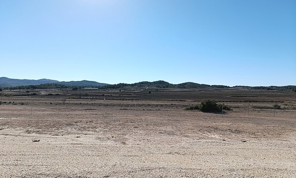 Obra Nueva - Chalet Independiente -
Pinoso