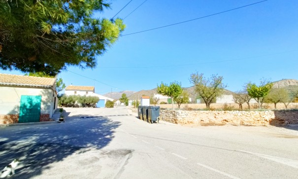 Resale - Stadthaus -
Barbarroja