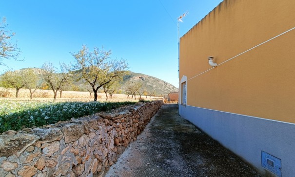 Resale - Stadthaus -
Barbarroja