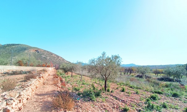 Resale - Stadthaus -
Barbarroja