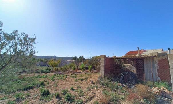 Resale - Stadthaus -
Barbarroja