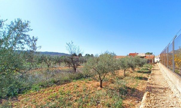 Resale - Stadthaus -
Barbarroja