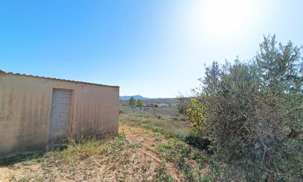 Resale - Stadthaus -
Barbarroja