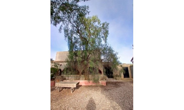 Venta - Finca Propiedad rural -
Jumilla