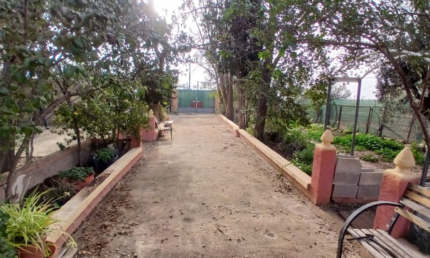 Venta - Finca Propiedad rural -
Jumilla