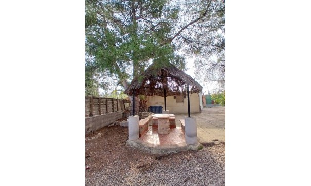 Venta - Finca Propiedad rural -
Jumilla