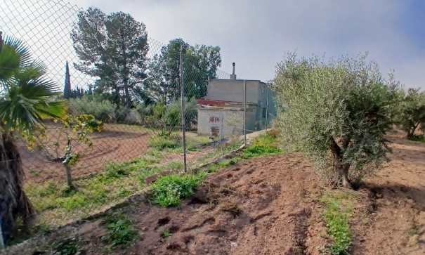 Venta - Finca Propiedad rural -
Jumilla