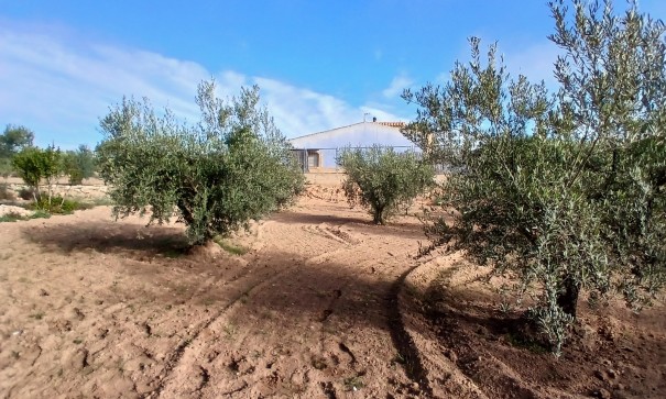 Venta - Finca Propiedad rural -
Jumilla