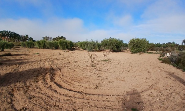 Venta - Finca Propiedad rural -
Jumilla