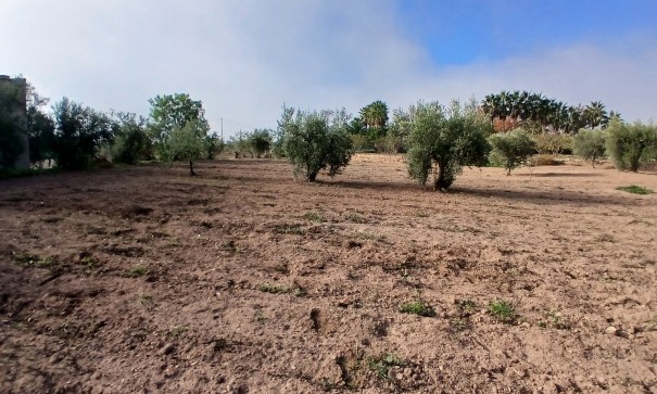 Venta - Finca Propiedad rural -
Jumilla