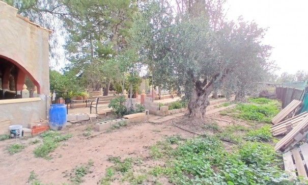Venta - Finca Propiedad rural -
Jumilla