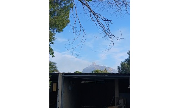 Venta - Finca Propiedad rural -
Jumilla