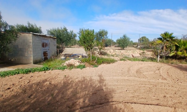 Venta - Finca Propiedad rural -
Jumilla