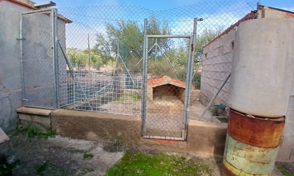 Venta - Finca Propiedad rural -
Jumilla