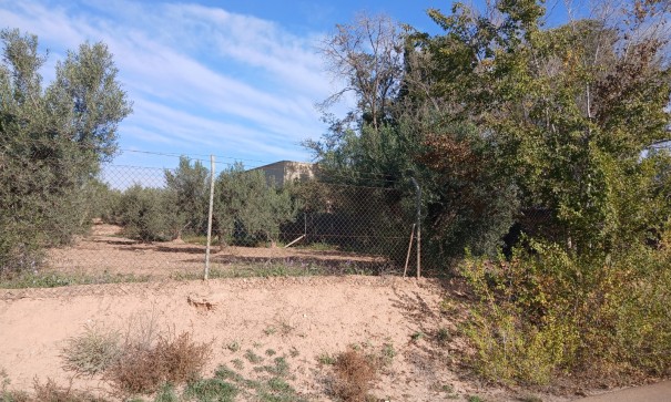 Venta - Finca Propiedad rural -
Jumilla