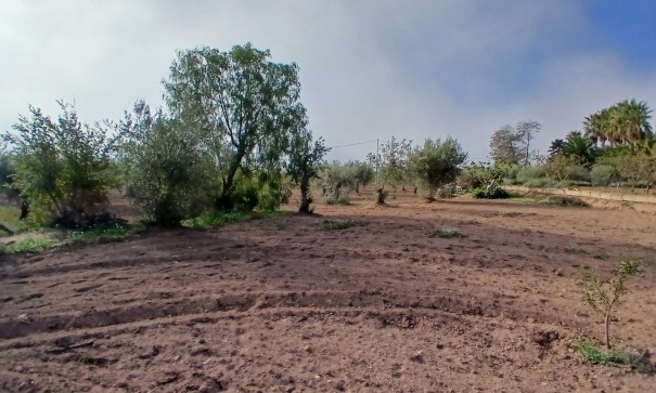 Venta - Finca Propiedad rural -
Jumilla