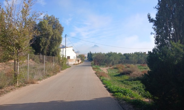Venta - Finca Propiedad rural -
Jumilla