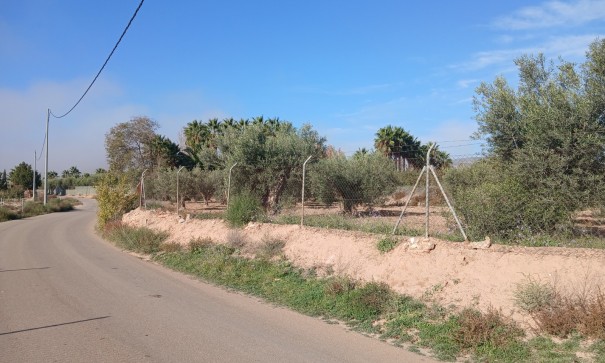 Venta - Finca Propiedad rural -
Jumilla