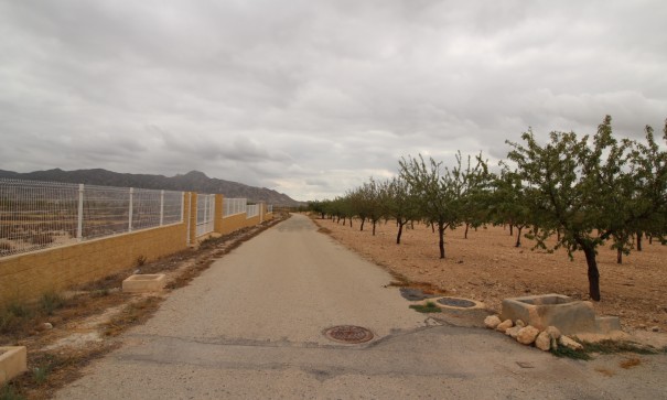 Resale - Grundstück Grundstück -
Abanilla