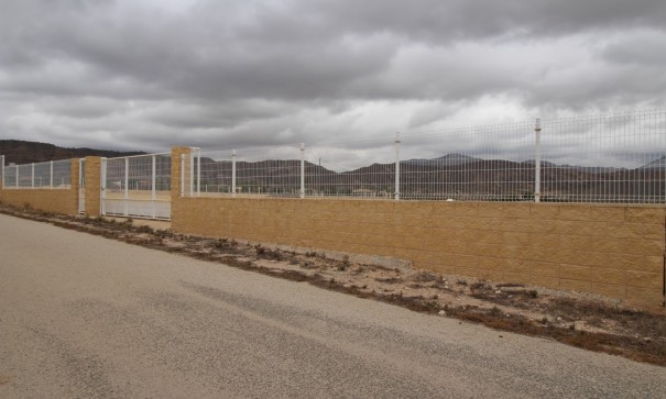 Resale - Grundstück Grundstück -
Abanilla